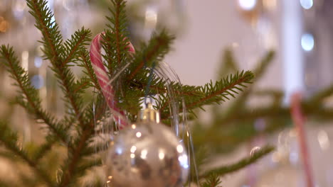 Close-Shot-Of-Young-Girl's-hand-Decorating-Christmas-Tree-with-X-mas-candy