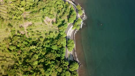 vista de pájaro y vuelo directo a través de drones sobre la carretera al lado de la playa en bali 4k y 30 fps