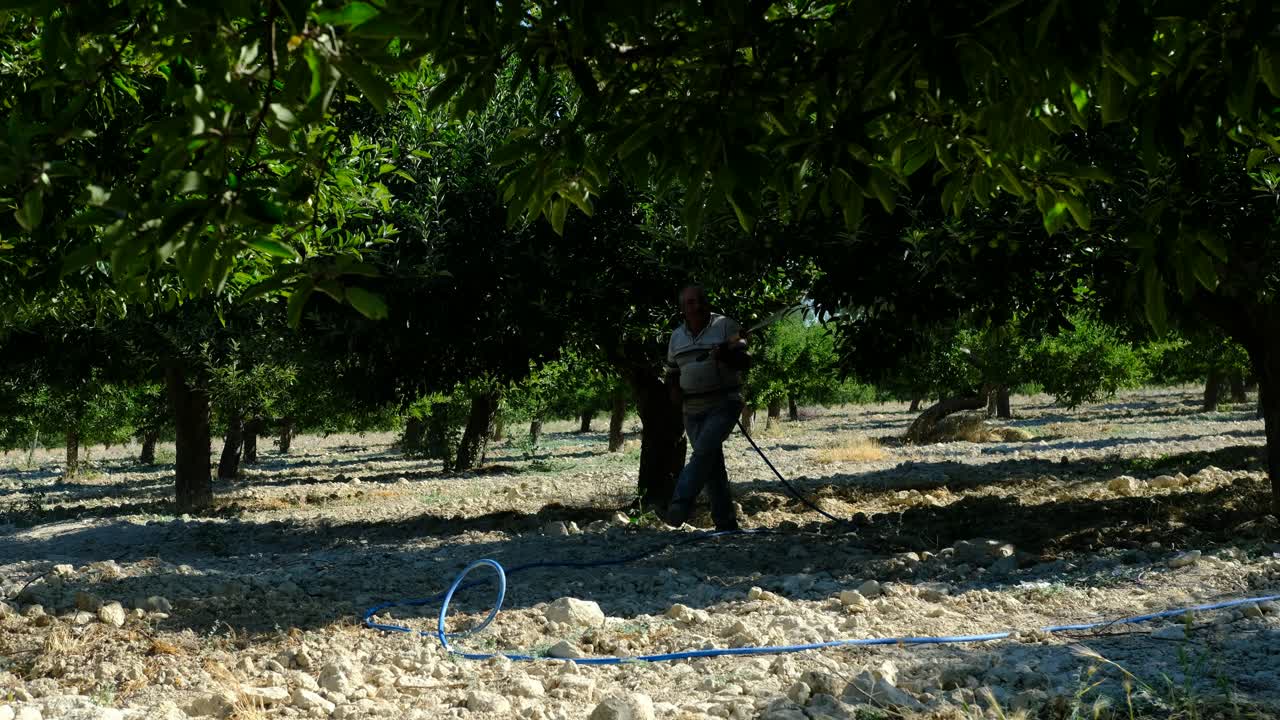 el hombre rocia el jardín de la medicina.