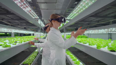 los científicos con abrigos blancos no usan gafas de realidad virtual en una granja hidropónica para controlar el riego. los genetistas analizan la composición de las verduras que crecen en las plantaciones