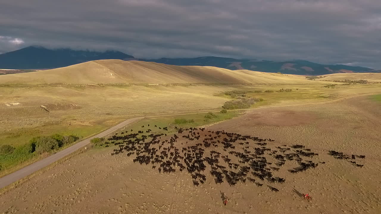 몬타나 6 평원의 서부 소몰이를 통한 놀라운 항공