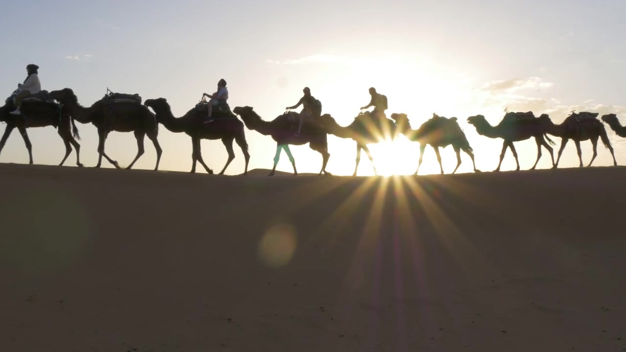 Cammello che cammina nel deserto al tramonto, sagoma