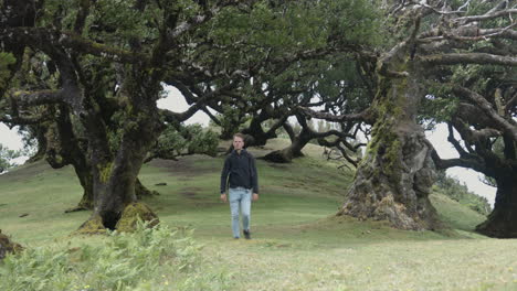 hombre camina hacia la cámara en el bosque de fanal en madeira