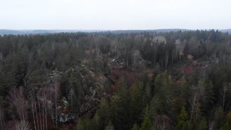aerial view, drone descends over pine tree forest wilderness landscape