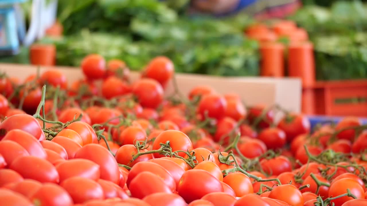 tomates frescos en el mercado