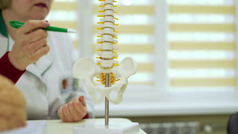 doctor talks about human spine. physiotherapist explaining the spine model to patient in clinic