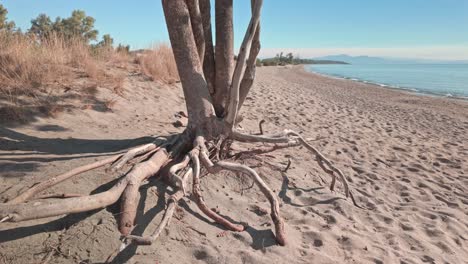 footprints on deserted greek mediterranean holiday beach shoreline