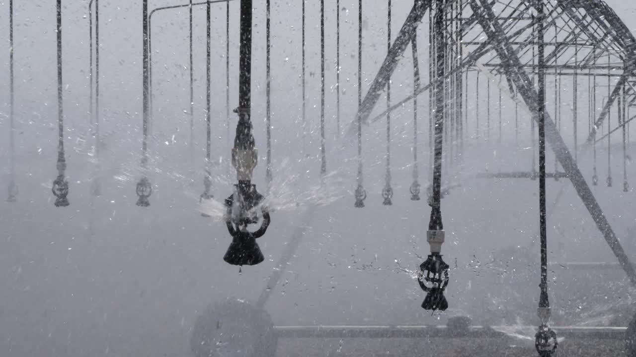 더 많은 성장을 위해 작물에 물을 주고 직장에서 스프링클러 피벗의 뷰를 닫습니다.