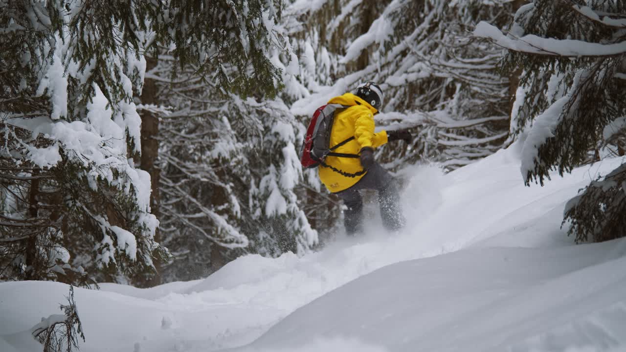 스테디 샷을 닫습니다