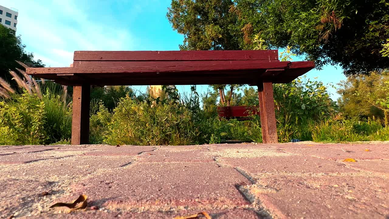 4K low-angle shot of a wooden bench in a peaceful park, surrounded by vibrant greenery and soft morning light — ideal for nature or urban tranquility themes.
