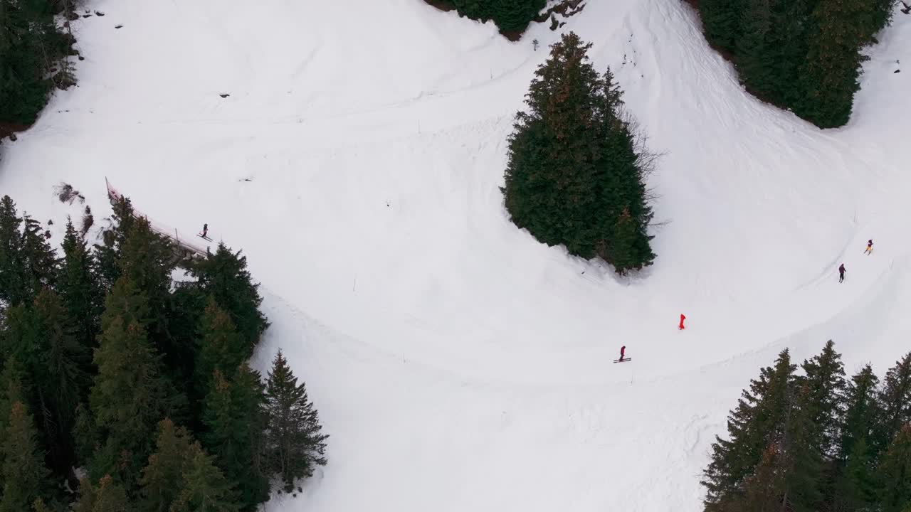 pista de esquí nevada con bosque de hoja perenne, estación de montaña de suiza