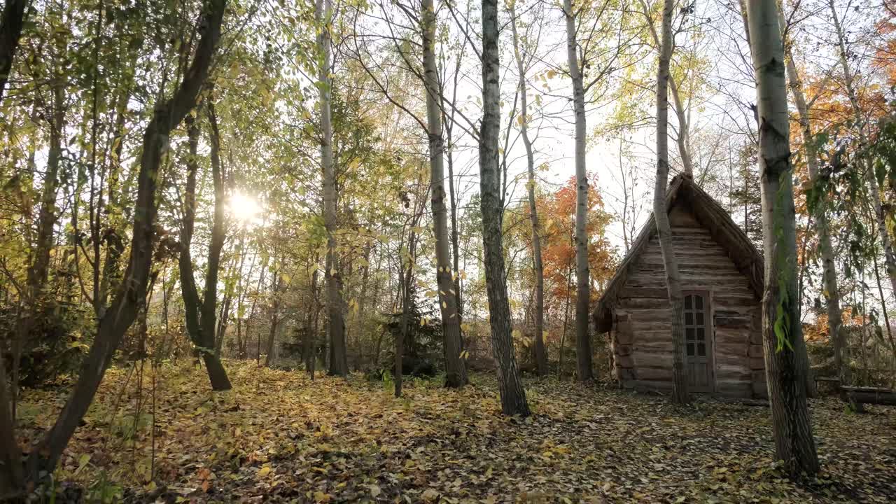 casa del bosque en otoño. vista de la casa del bosque de otoño. casa de la carretera del bosque. paisaje de la carretera de la casa de la selva de otoño