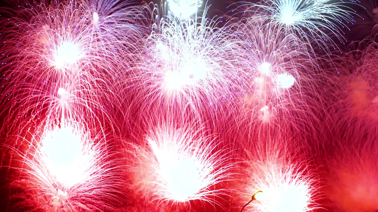 밤하늘에 화려한 불꽃이 터진다. 밝은 색상의 축하 및 이벤트.