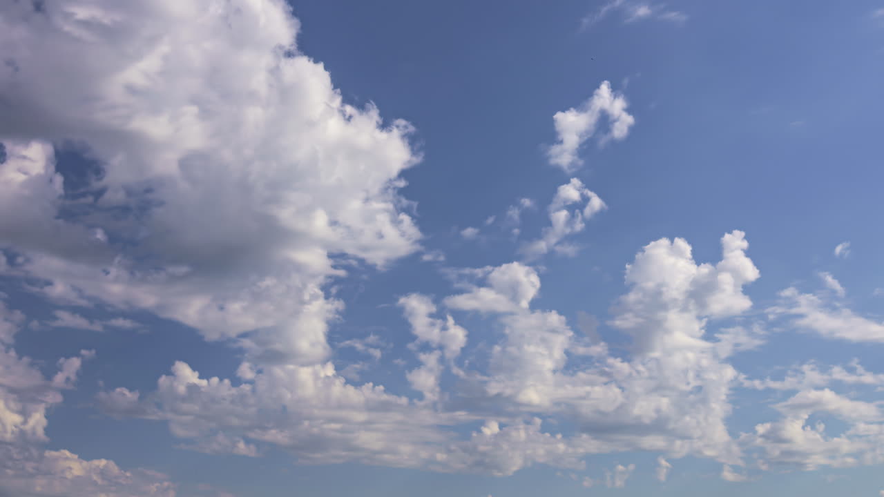 Fluffy white clouds drift across a bright blue sky on a sunny day, timelapse