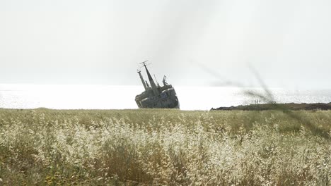 ship wreck in paphos cyprus