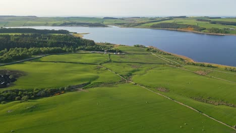 A-drone-shot-of-the-english-countryside-with-a-lake