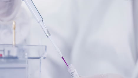 research scientists work in a cleanroom environmental conduct pipette dispensing pink liquid into microplate scientific research laboratory technology equipment precise accurate high quality