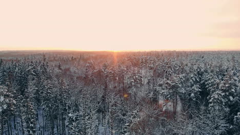 Luftaufnahme-Auf-Den-Waldhügeln-Während-Des-Wintersonnenuntergangs.-Kronen-Von-Nadelbäumen-Werden-Von-Einer-Hellen-Untergehenden-Sonne-Beleuchtet.