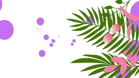 animation of purple spots and leaves on white background