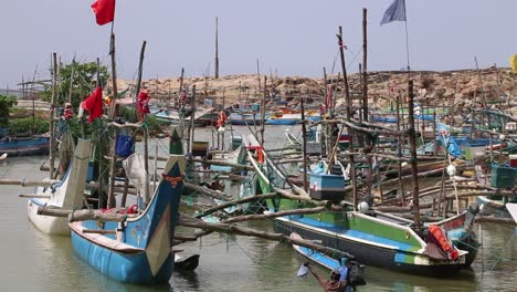 static view of a cluster of blue colored boats with green stripes anchored at the sea coast with sandy beach in the background, while people move about near it on the coast of sir lanka