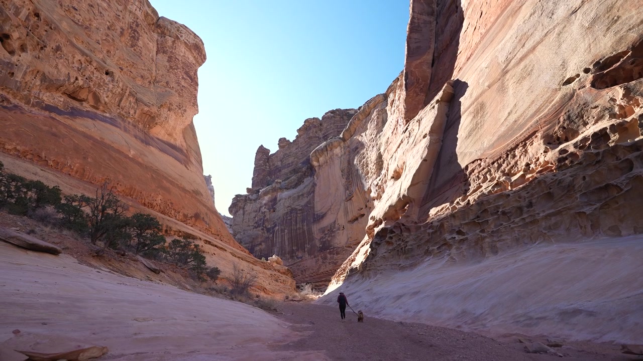 Mujer y perro caminando hacia un cañón entre acantilados de arenisca, Crack Canyon, Utah, EE. UU.