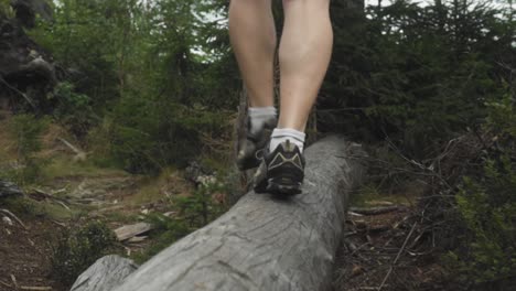 a female hiker walking on timber in the desolate forest