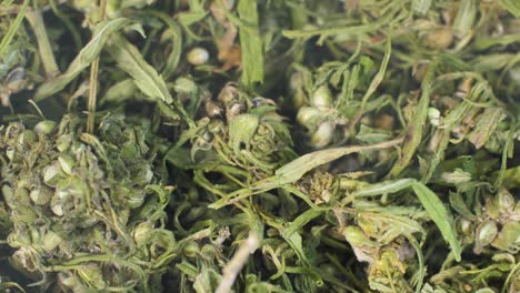 medical marijuana buds and leaves