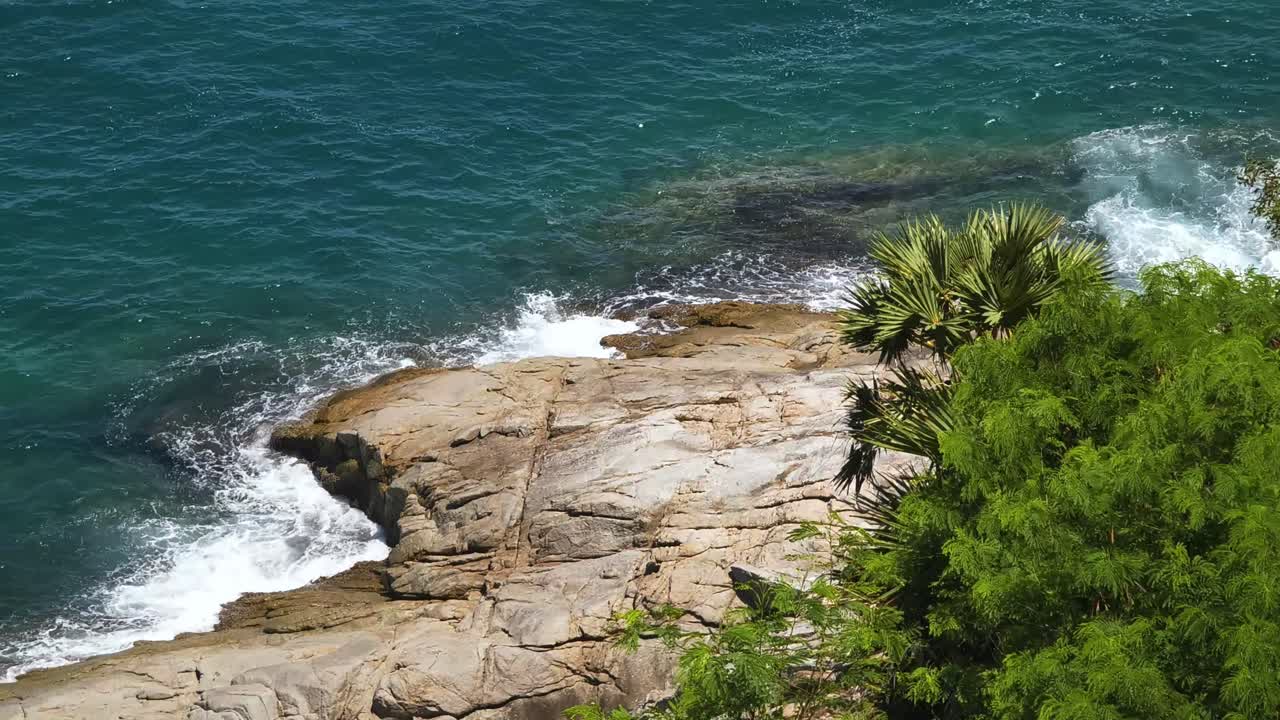 Rocky Coastline with Waves and Palm Trees