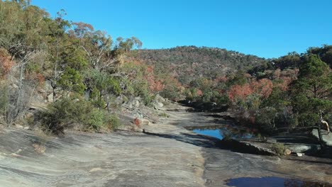 siguiendo el lecho de un arroyo seco en los matorrales australianos