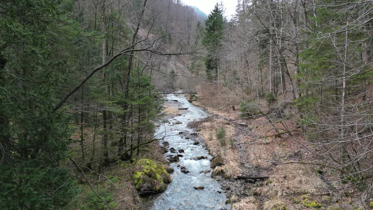 flujos de agua rodando y balbuceando río abajo en el río bordeado por árboles sin hojas, estático