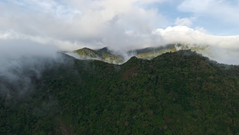 clouded forest mountains in the coastal islands of bocas del toro, panama, central america. aerial shot
