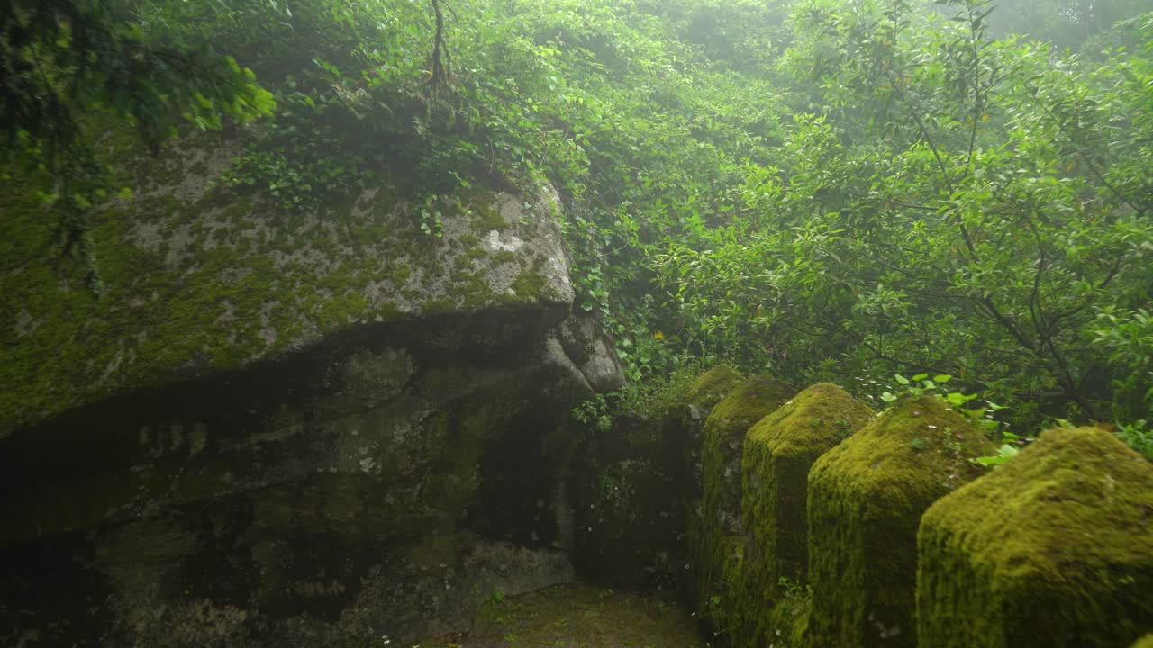 Ancient Old Moors Castle Defensive Wall Covered with Greenery and Moss