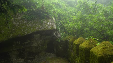 ancient old moors castle defensive wall covered with greenery and moss