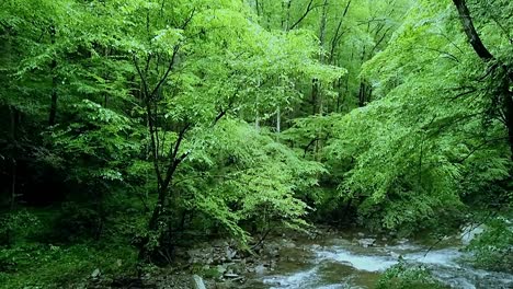 Un-Hermoso-Arroyo-En-Las-Montañas-Humeantes