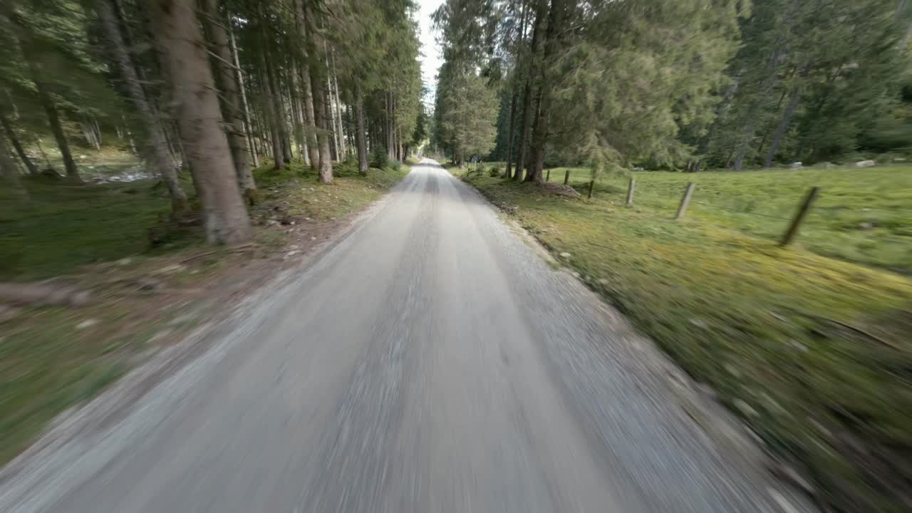 Volo aereo sopra la strada forestale