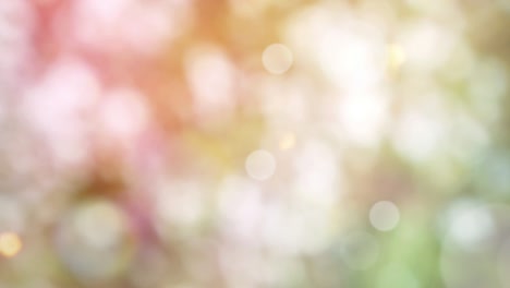 Abstract spring background with bokeh