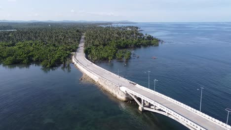 catangnan bridge and coastal road through mangroves and palm forest, siargao