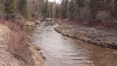 a flowing creek in an urban park in the springtime