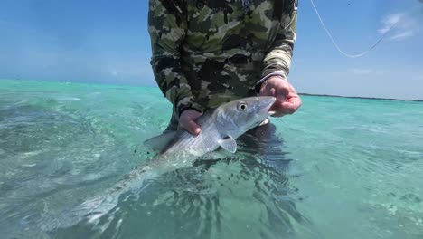 angler removing hook from bonefish in clear turquoise waters