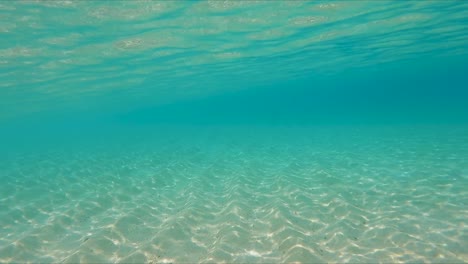 nadando bajo el agua en un océano azul claro y poco profundo con fondo arenoso y luz que brilla a través