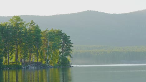 misty morning at the lakeside forest