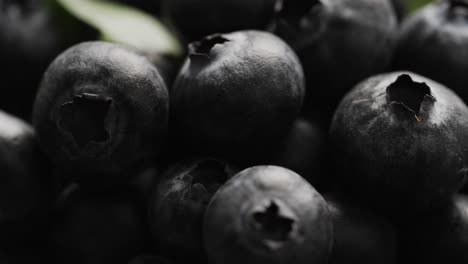 Micro-video-of-close-up-of-blueberries-with-copy-space