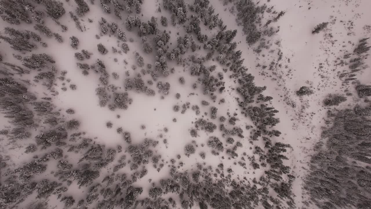Overhead Aerial of snow covered trees and mountains in Utah Canyon