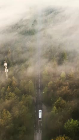 misty forest road aerial view