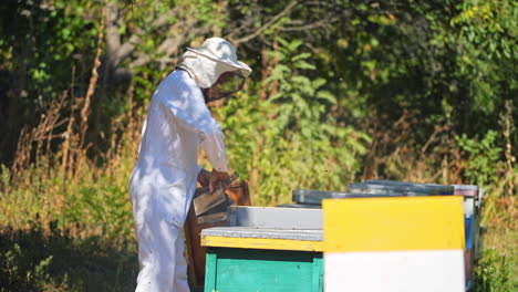 beekeeper is working with bees and beehives on the apiary. beekeeper on apiary.