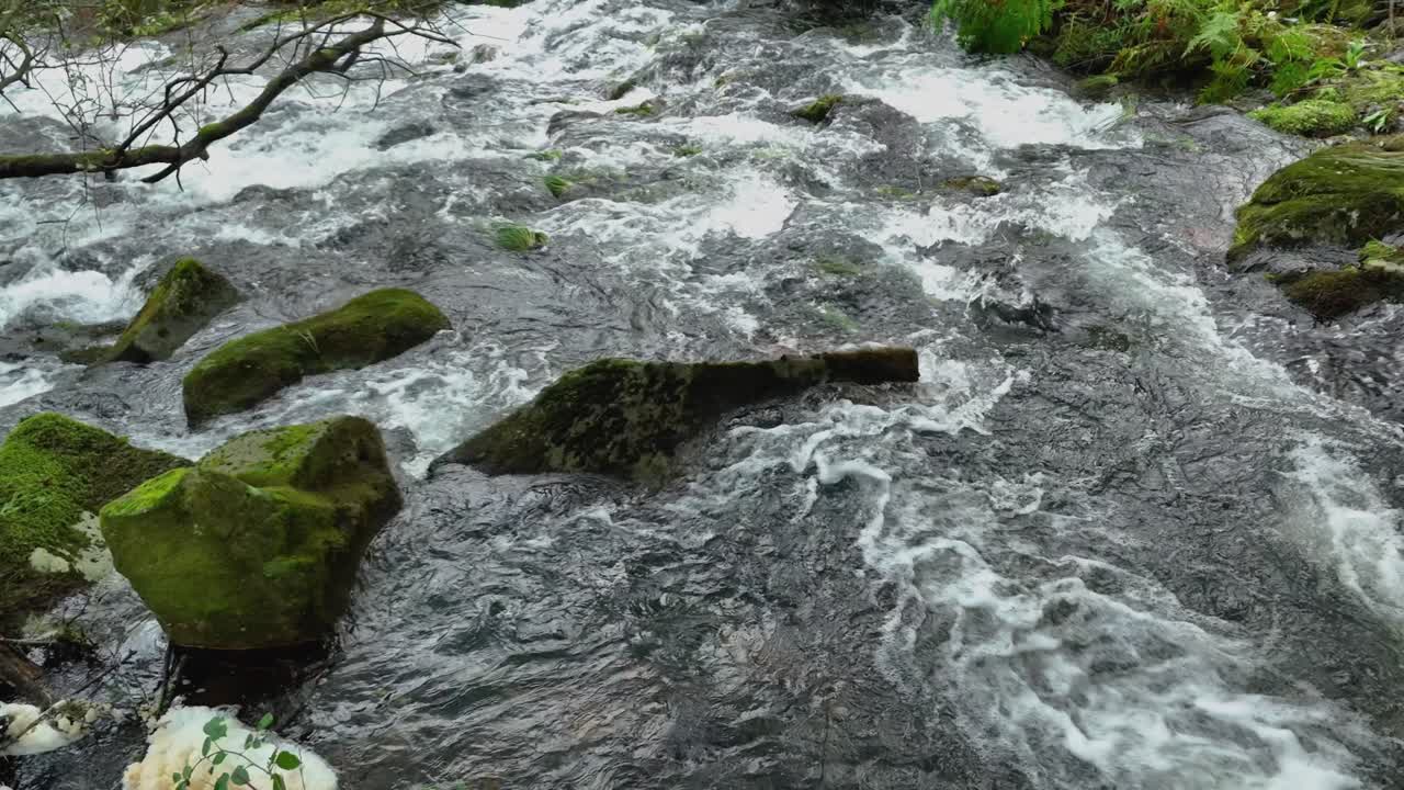 Massi con un torrente impetuoso nella foresta pluviale del fiume Parga, La Coruña, Spagna