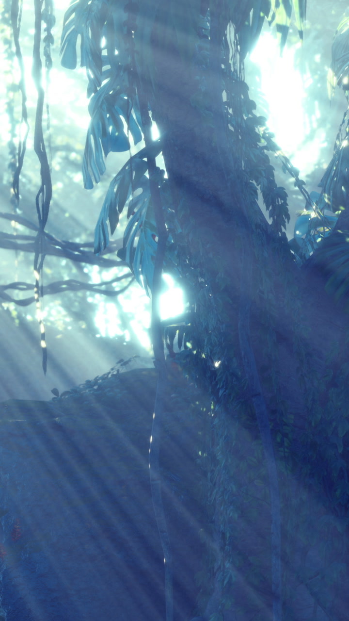 Sunlight filtering through trees in a dense forest at dawn