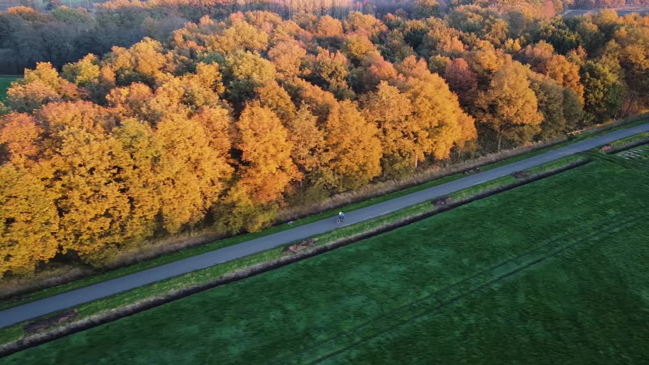 네덜란드의 단풍이 있는 시골길의 자전거 타는 사람
