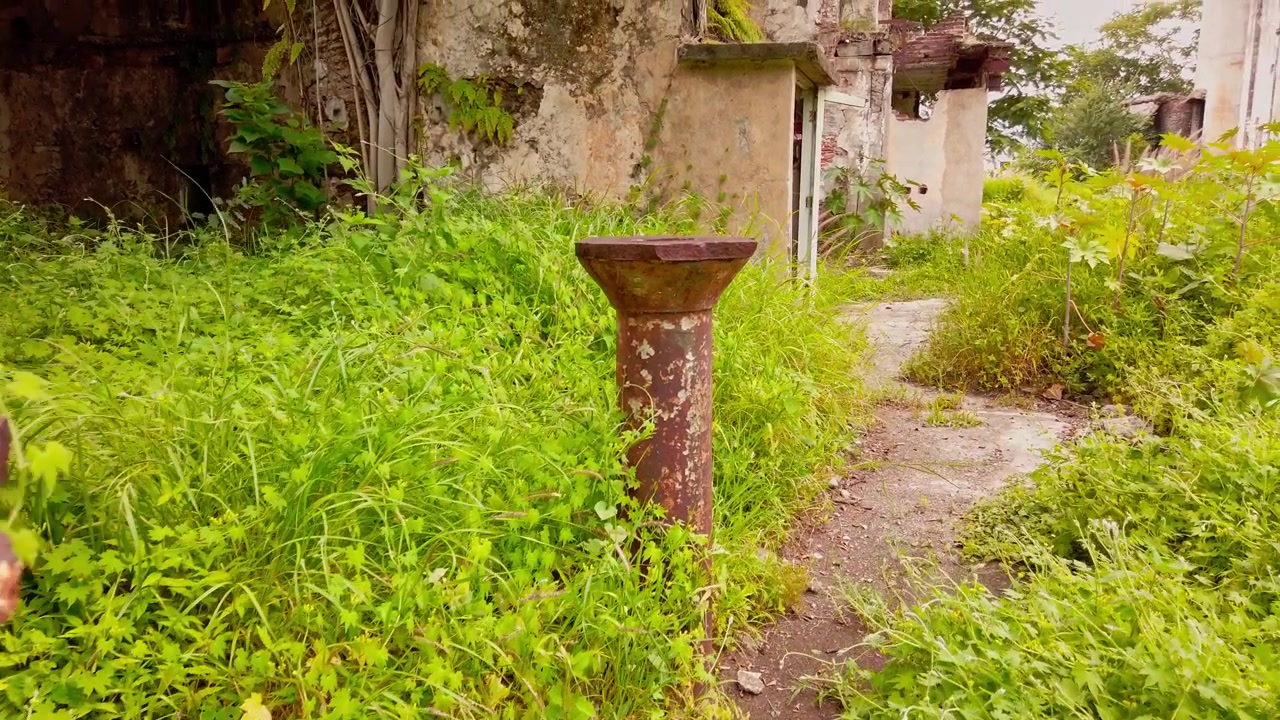 Meksika'nın Morelos eyaletindeki tarihi Hacienda Oacalco'da, gün ışığında terk edilmiş bir yapıyı çevreleyen yıpranmış taş sütunlar ve aşırı büyümüş bitki örtüsü.