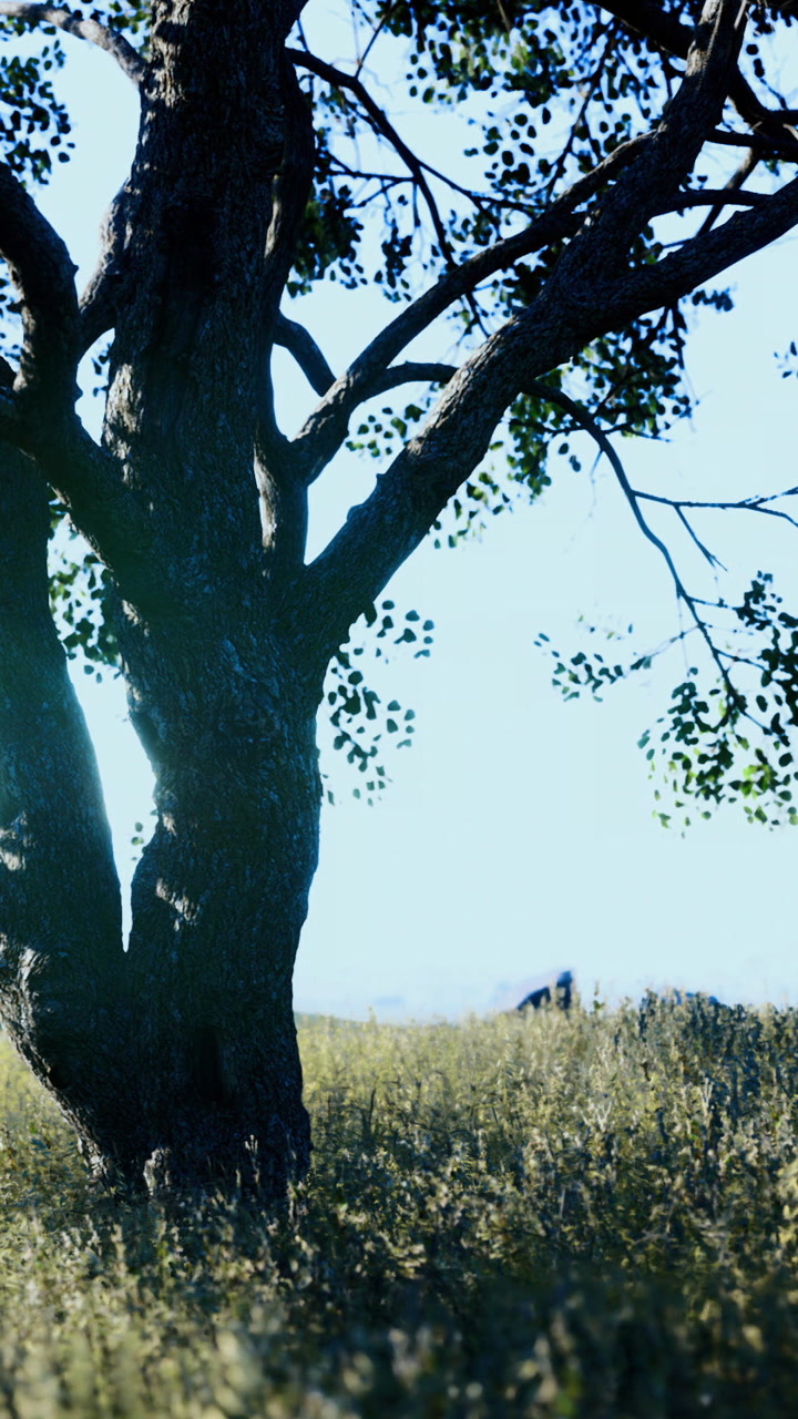 Tree stands tall in open field during bright daylight near hills